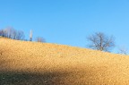 sc_5555