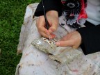 manualit e creativit