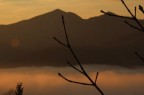 Immagine di una rametto al tramonto