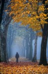 la mattina presto con i suoi amici..
