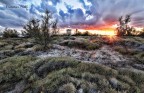salento