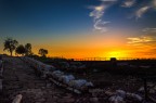 Tramonto Antica Norba
