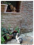 Serenata