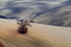 Val d'Orcia - Colline attorno a San Quirico d'Orcia