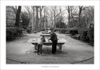 Giardino d'inverno