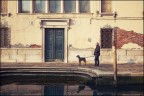 A spasso con il cane