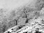 Inverno...