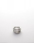 The ring....;)