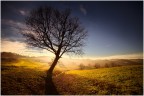 Le calde luci del tramonto