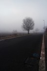 mattino...