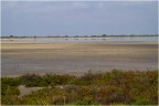 Settembre in Camargue