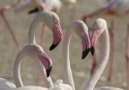 Wildlife Sanctuary Dubai