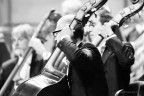 Musicanti