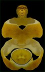figura - 2 -