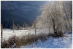 Ho provato questo controluce, gradirei un parere, grazie.
Tra l'altro non so se  nella sezione giusta.