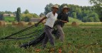 ... si raccolgono i tubi che hanno permesso di dare acqua al campo di pomodori