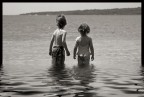 they...