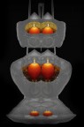FIGURA - 7 -
