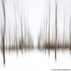 Immagine astratta ottenuta con unica esposizione muovendo la fotocamera verticalmente durante lo scatto eseguito a mano libera - Parco Naturale della Valle del Ticino