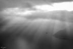 Controluce