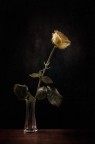 Lonely