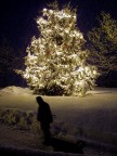 Perfido natale...