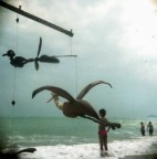 ko s11 -12.14 ko s11 -12.14