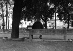La mia vita ...