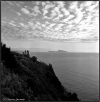 Napoli - Parco Virgiliano con vista su Capri
Dicembre 2010

Hasselblad 503cx con Distagon 50 mm e FP4 plus