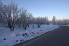 Canon Eos 650D - 17/85 @ 24mm - f 7.1 - 1/50s - ISO 100