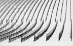 B&amp;W.