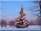 neve in citt.