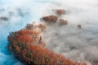 Bruma Autunnale