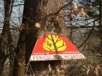 la forza della natura