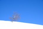Critiche e suggerimenti sempre accetti.

f10 1/150 55 mm  Iso 100