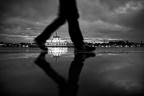 reflex