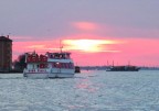 pink venice