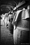 Old Wine