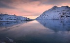 Foto scattata dal trenino rosso del Bernina