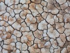 Puzzle argilloso