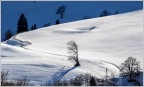 Inverno sugli alti pascoli.
