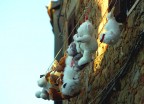 panni al sole