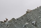 In cima al mondo