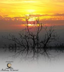 Dove cade il sole si alza il colore e quello che resta  poesia.