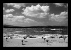 aspettando l'estate