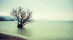 il lago