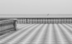 Terrazza Mascagni