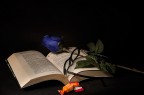 Prova di light painting