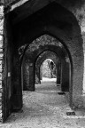 Archi