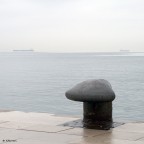 IMGP0865